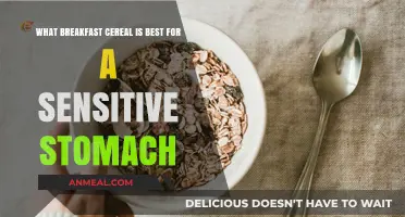 Gentle Morning Fuel: Top Cereals for Sensitive Stomachs