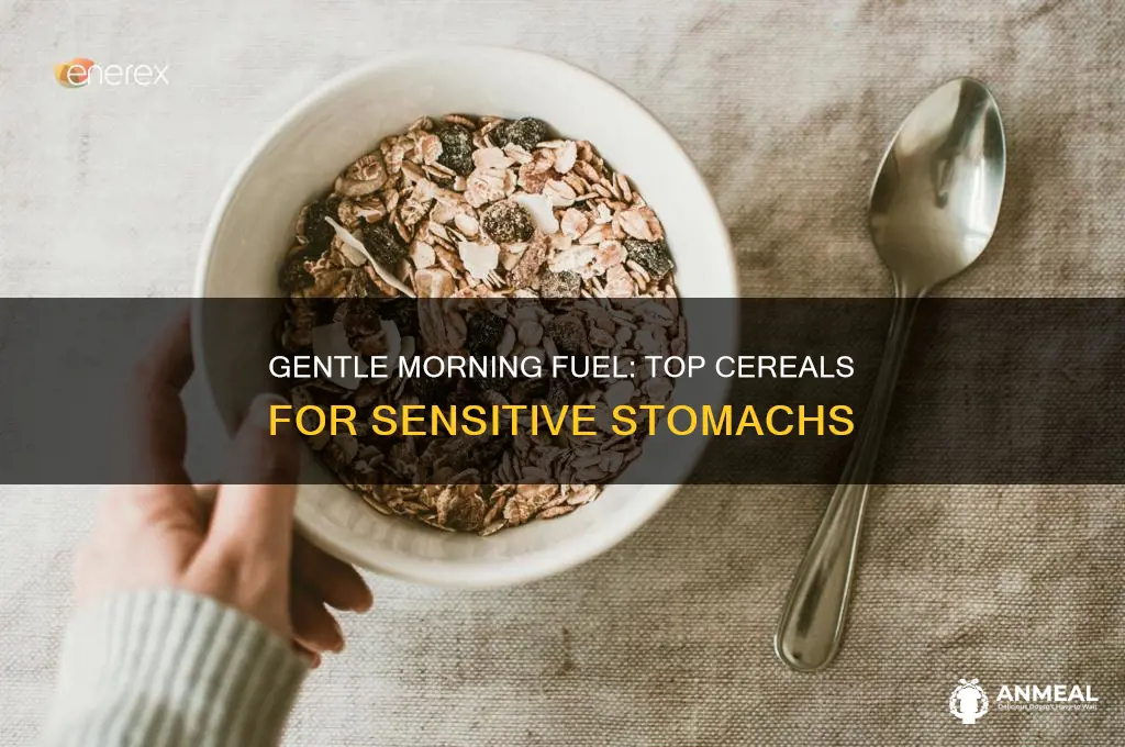 what breakfast cereal is best for a sensitive stomach
