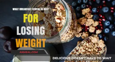 Healthy Breakfast Cereals: Top Picks for Weight Loss and Nutrition