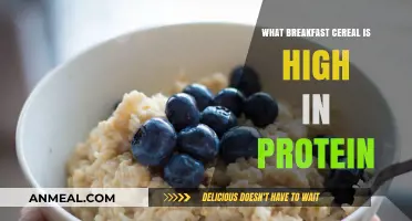 High-Protein Breakfast Cereals: Top Picks for a Nutritious Morning Boost
