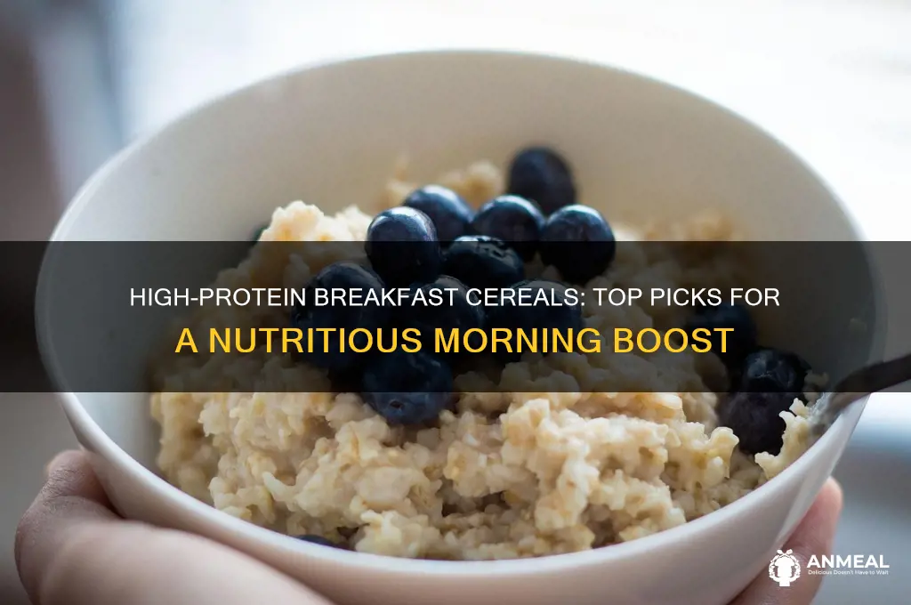 what breakfast cereal is high in protein