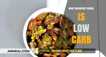 Low-Carb Breakfast Cereal Options for a Healthy Morning Start