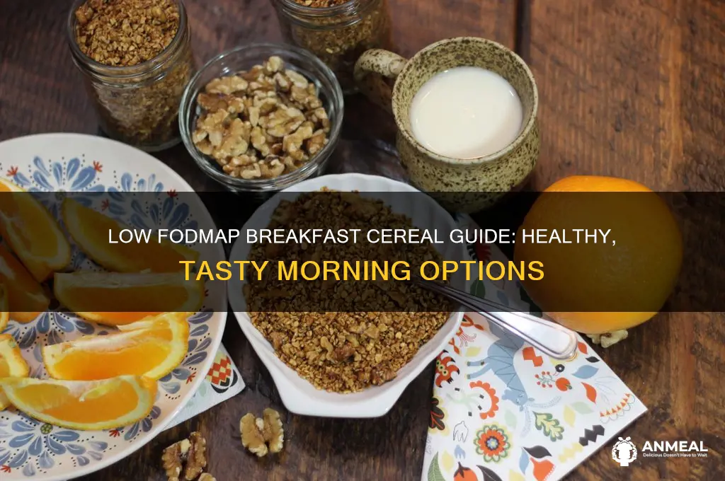 what breakfast cereal is low fodmap