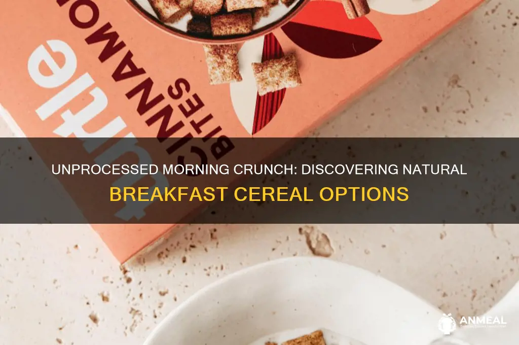 what breakfast cereal is not processed