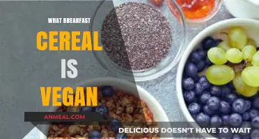 Discover the Best Vegan-Friendly Breakfast Cereals for a Healthy Start