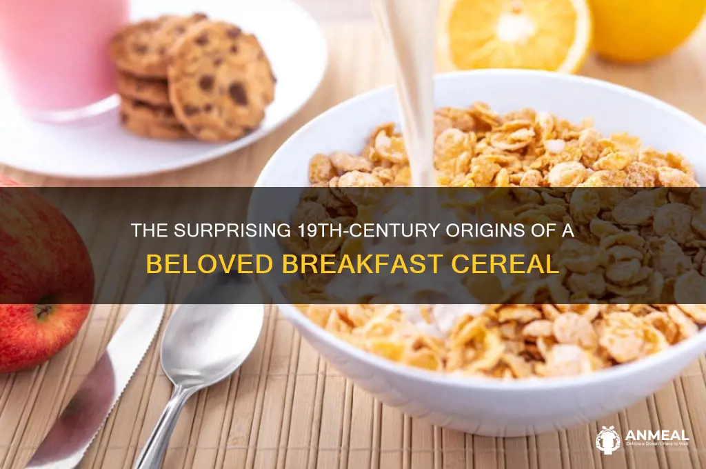 what breakfast cereal was created in the 1800s
