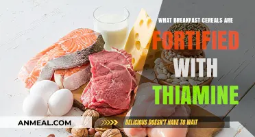 Thiamine-Rich Breakfast Cereals: Boost Your Morning with These Fortified Options