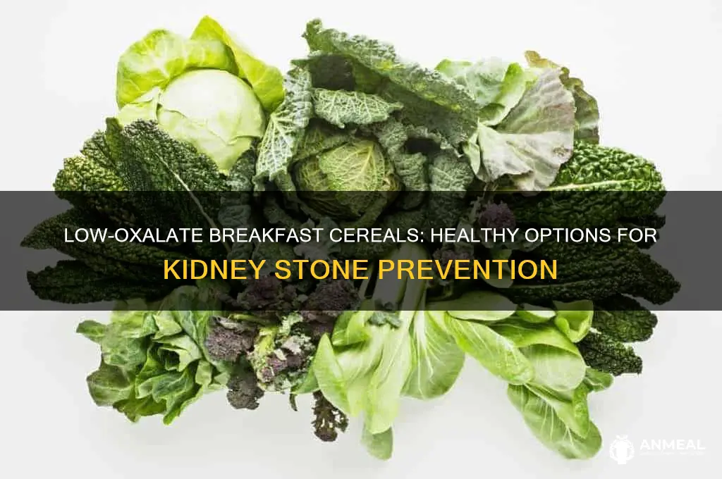 what breakfast cereals are low in oxalates