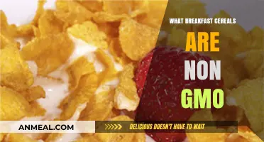 Discover Non-GMO Breakfast Cereals for a Healthier Morning Routine