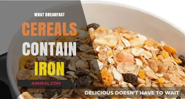 Iron-Rich Breakfast Cereals: Boost Your Morning with These Top Picks