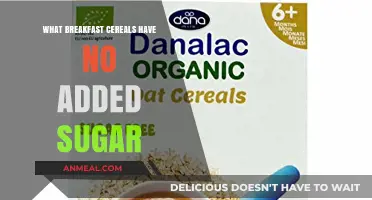 Healthy Morning Choices: Sugar-Free Breakfast Cereals to Start Your Day
