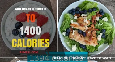High-Calorie Breakfast Ideas: 1400 Calorie Morning Meals to Fuel Your Day