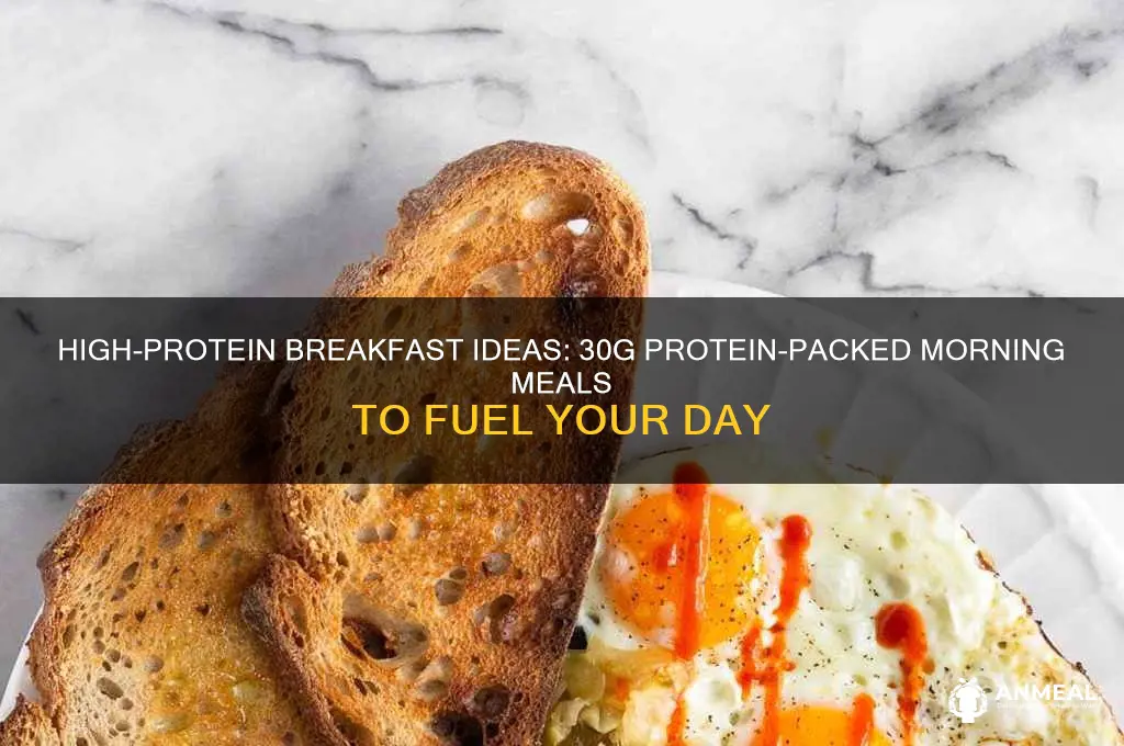 what breakfast food has 30 g of protein