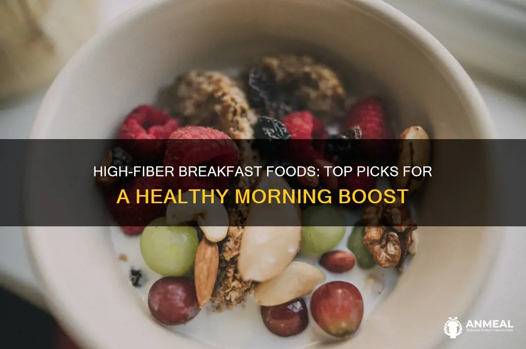 what breakfast food has the most fiber