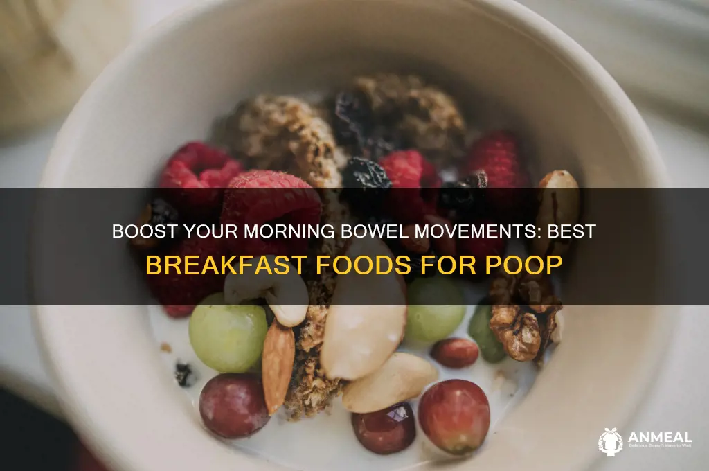 what breakfast food will help me poop