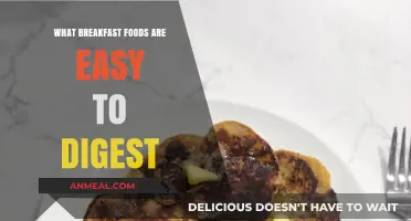 Gentle Morning Fuel: Easy-to-Digest Breakfast Foods for a Comfortable Start
