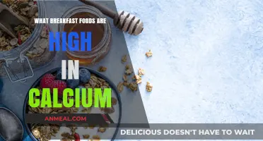 Calcium-Rich Breakfast Foods to Boost Your Morning Nutrition
