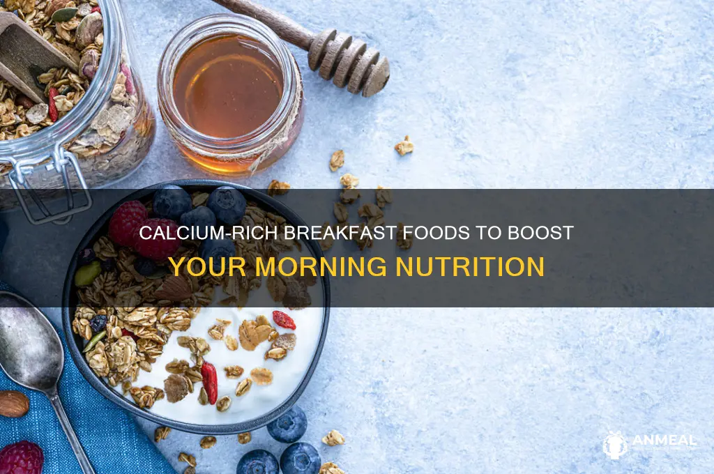 what breakfast foods are high in calcium