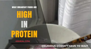 High-Protein Breakfast Ideas to Start Your Day