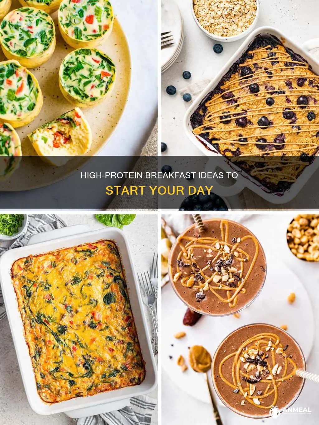 what breakfast foods are high in protein