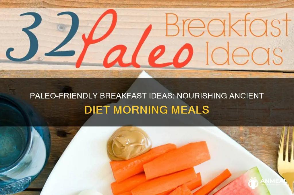 what breakfast foods are paleo