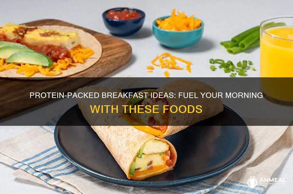 what breakfast foods are protein