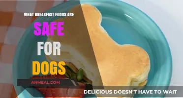 Dog-Friendly Breakfast Foods: Safe and Healthy Morning Treats for Your Pup