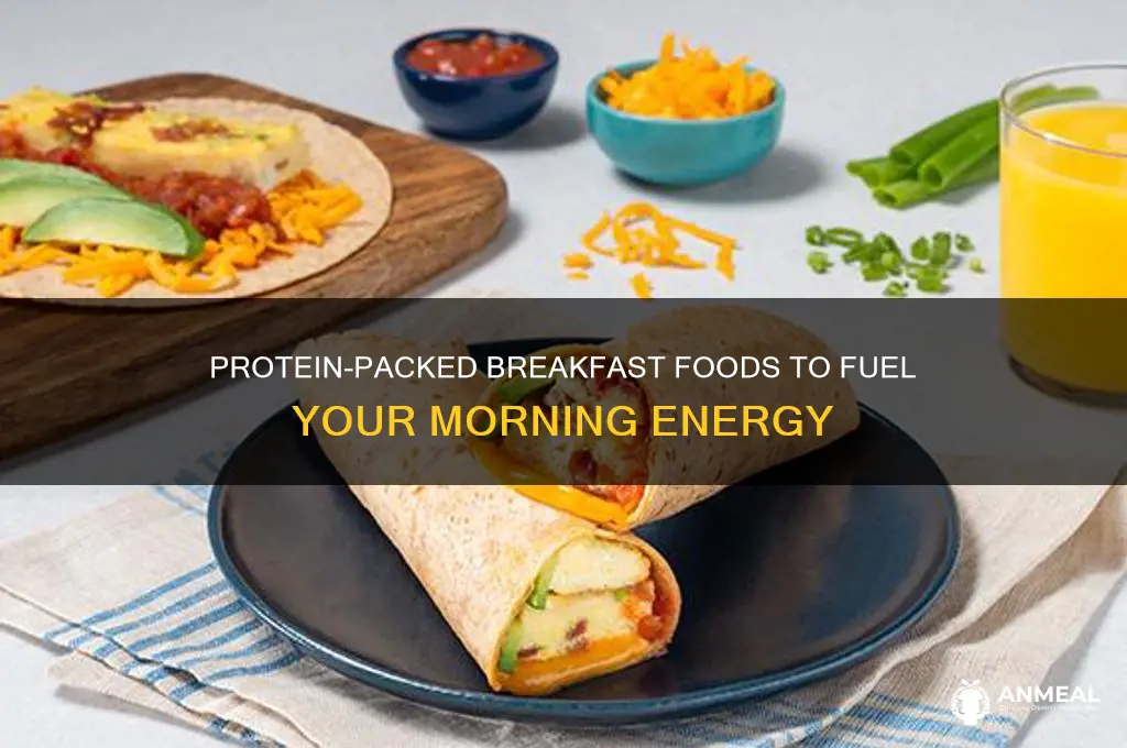 what breakfast foods contain protein