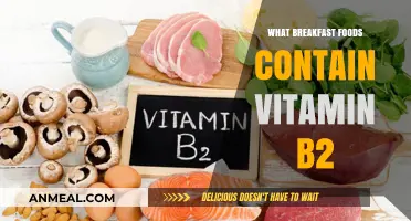 Vitamin B2-Rich Breakfast Foods to Boost Your Morning Energy