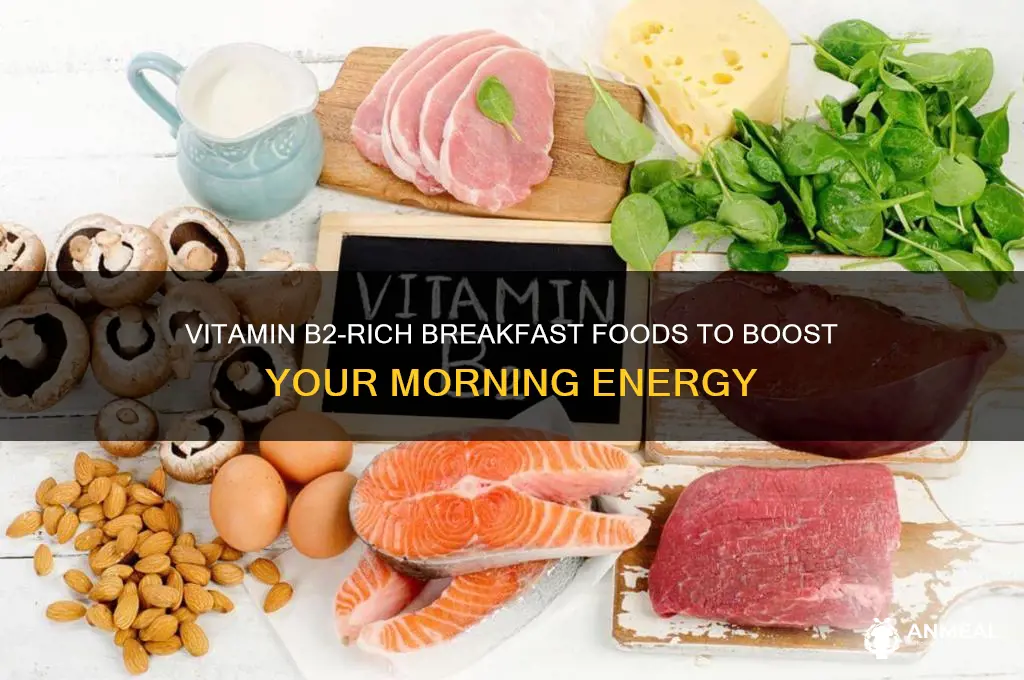 what breakfast foods contain vitamin b2