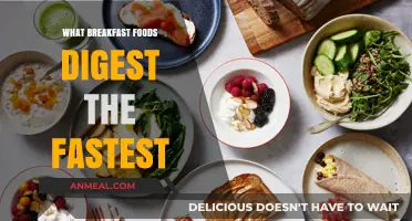 Quick Morning Fuel: Fastest Digesting Breakfast Foods to Start Your Day