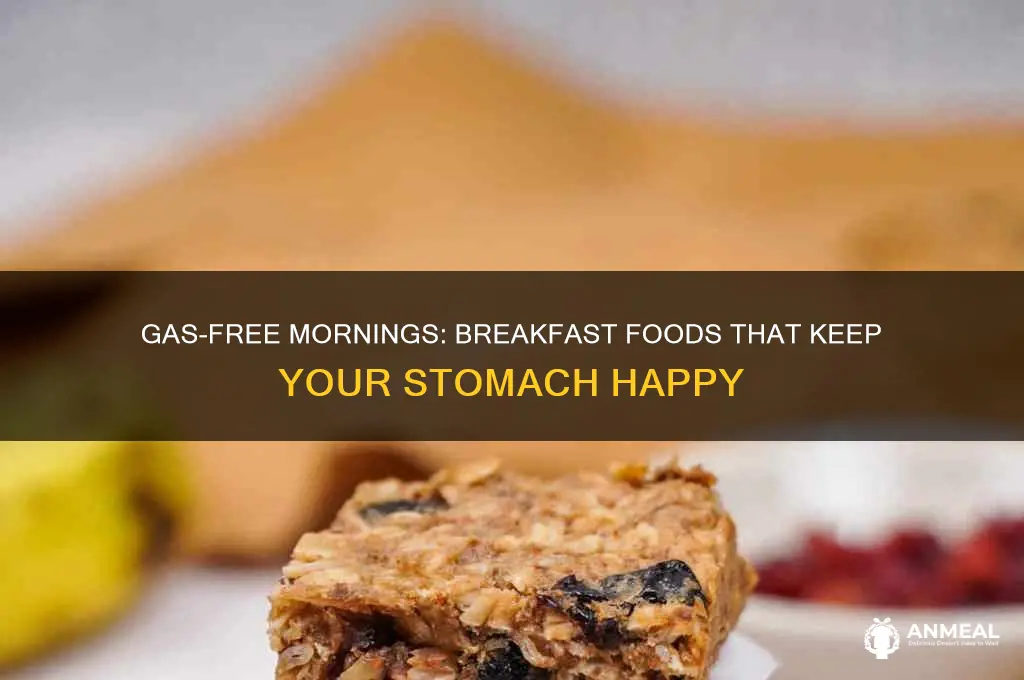 what breakfast foods do not cause gas