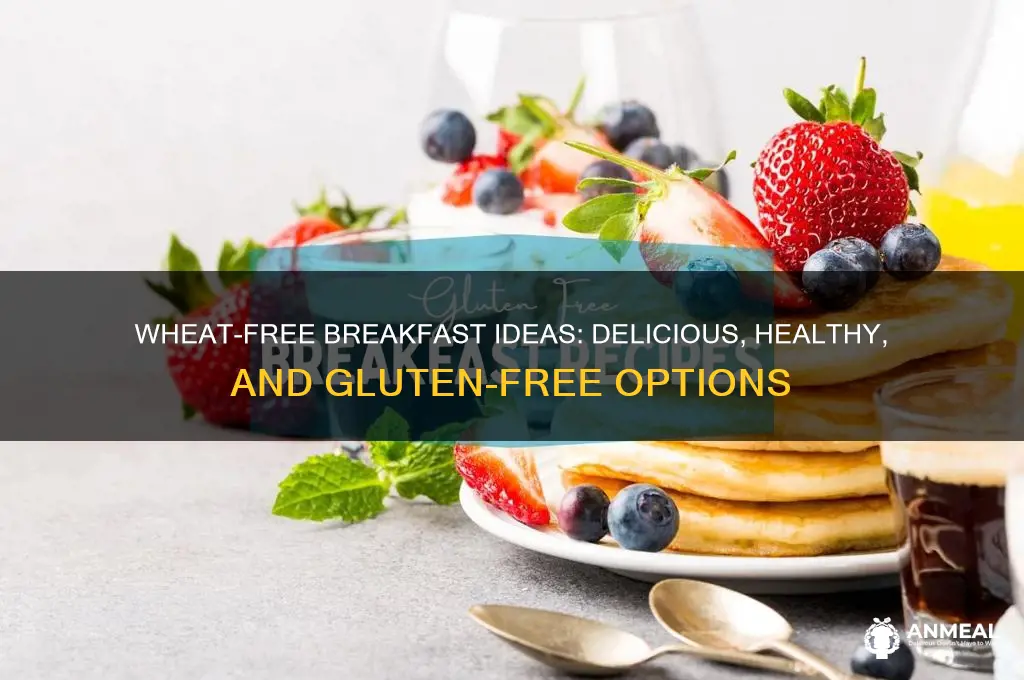 what breakfast foods do not have wheat in them