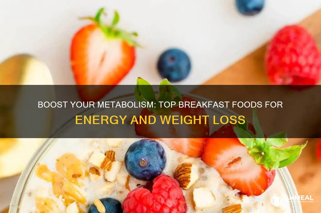 what breakfast foods speed up metabolism