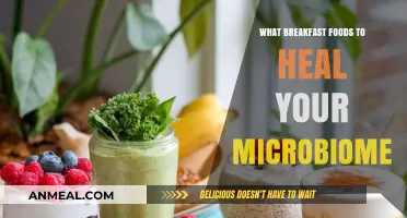 Heal Your Gut: Microbiome-Boosting Breakfast Foods for Optimal Health