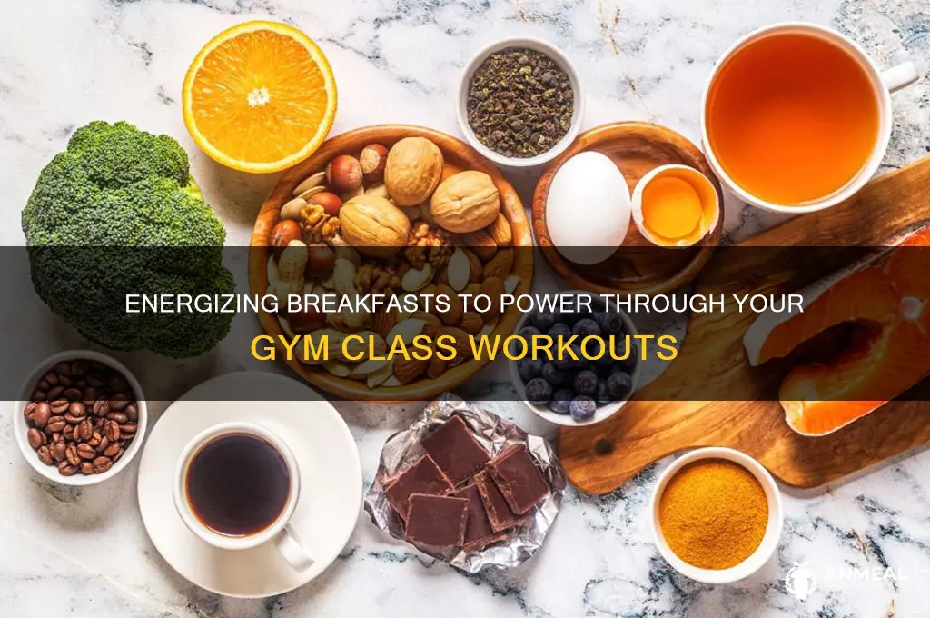 what breakfast gives you the most energy in gym class