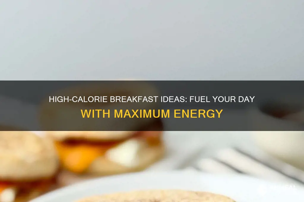 what breakfast has the most calories