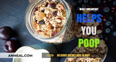 Boost Your Morning Bowel Movements: Best Breakfasts for Easy Pooping