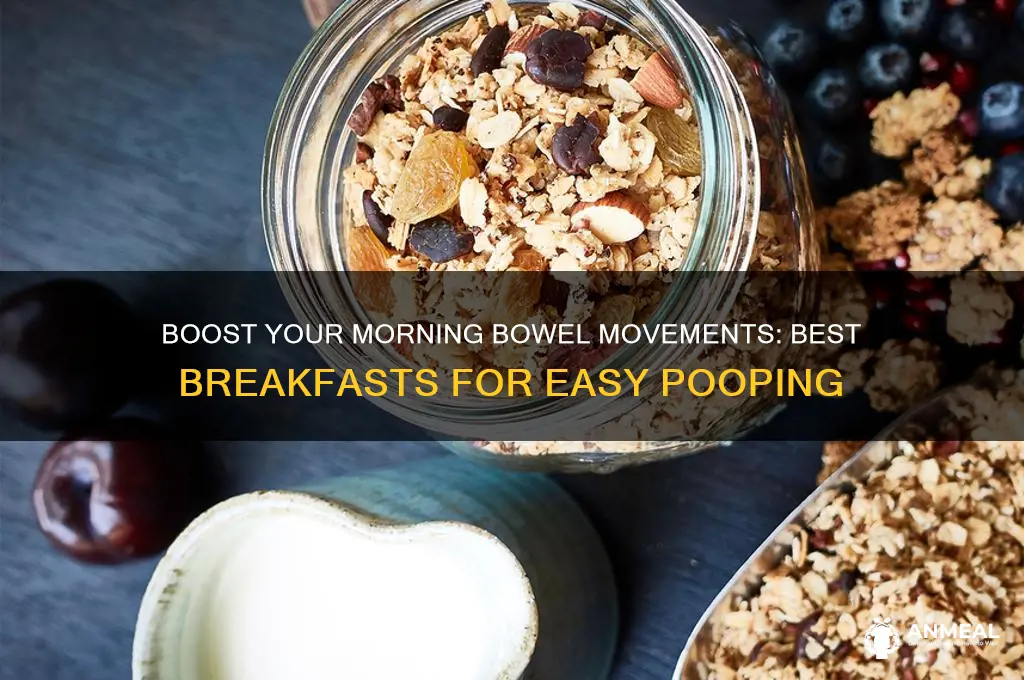 what breakfast helps you poop