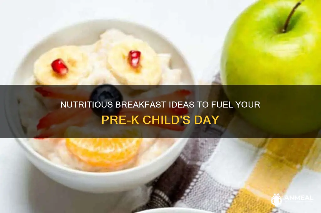 what breakfast is best for pre k