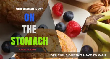 Gentle Morning Meals: Easy-on-the-Stomach Breakfast Ideas to Start Your Day