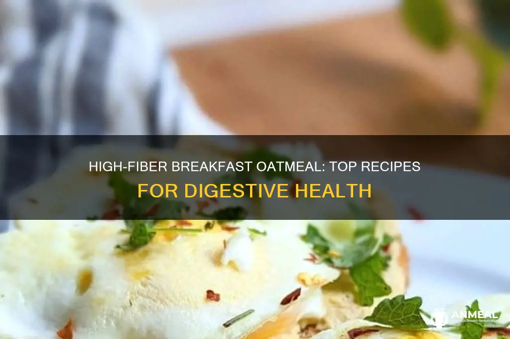 what breakfast oatmeal with the most dietary fiber