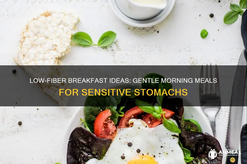 what breakfast on low fiber