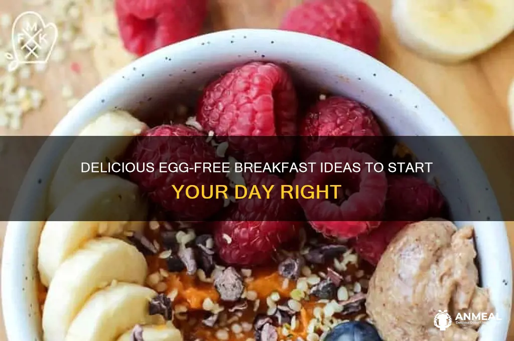 what breakfast options without eggs