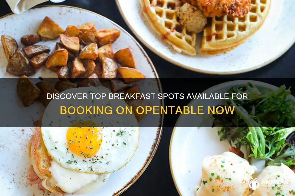 what breakfast places are on open table