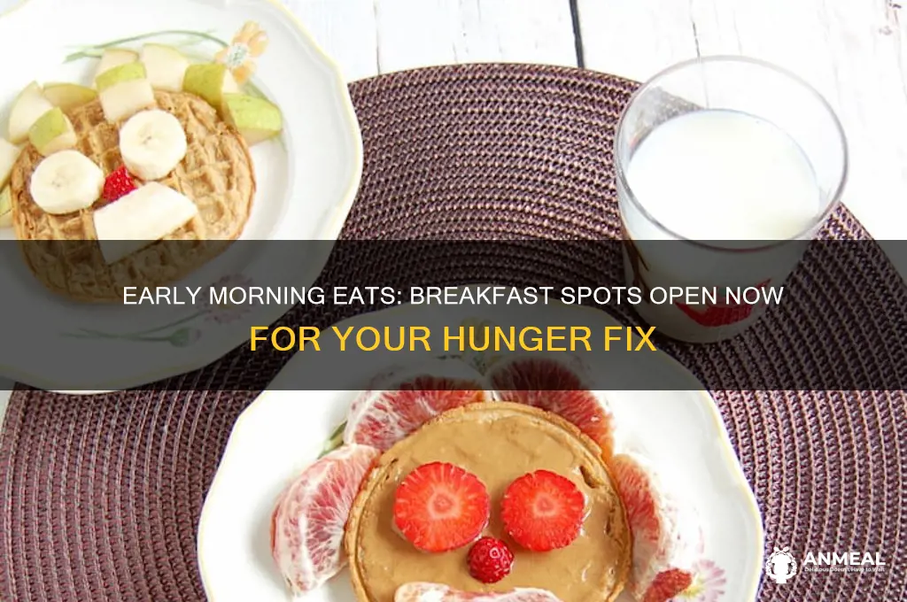 what breakfast places are open