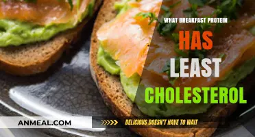 Low-Cholesterol Breakfast Proteins: Healthy Morning Options to Start Your Day