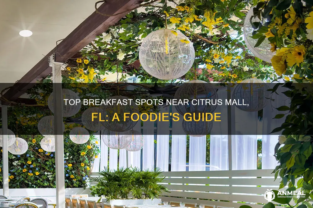 what breakfast restaurants are by citrus mall fl