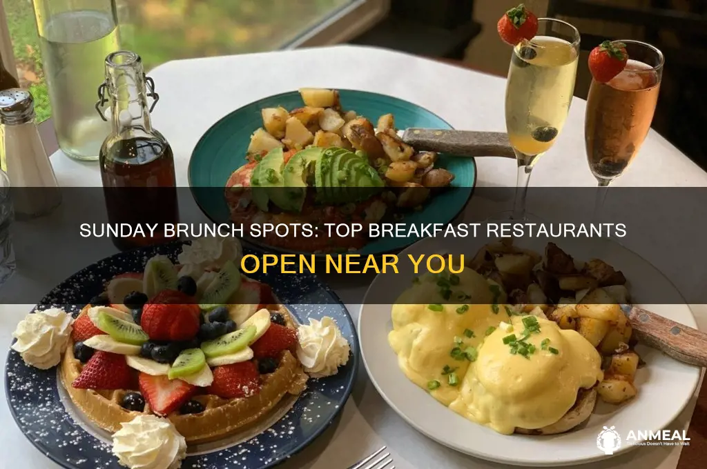 what breakfast restaurants are open on sunday
