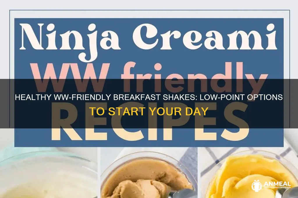 what breakfast shakes are low ww points